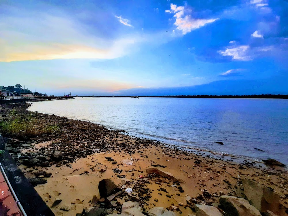 Marina Resort photo 3